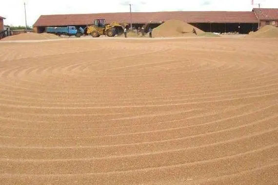 連綿陰雨天小麥?zhǔn)崭詈笤趺捶姥?、防霉?></div>
            </a></li>
          
          <li id=